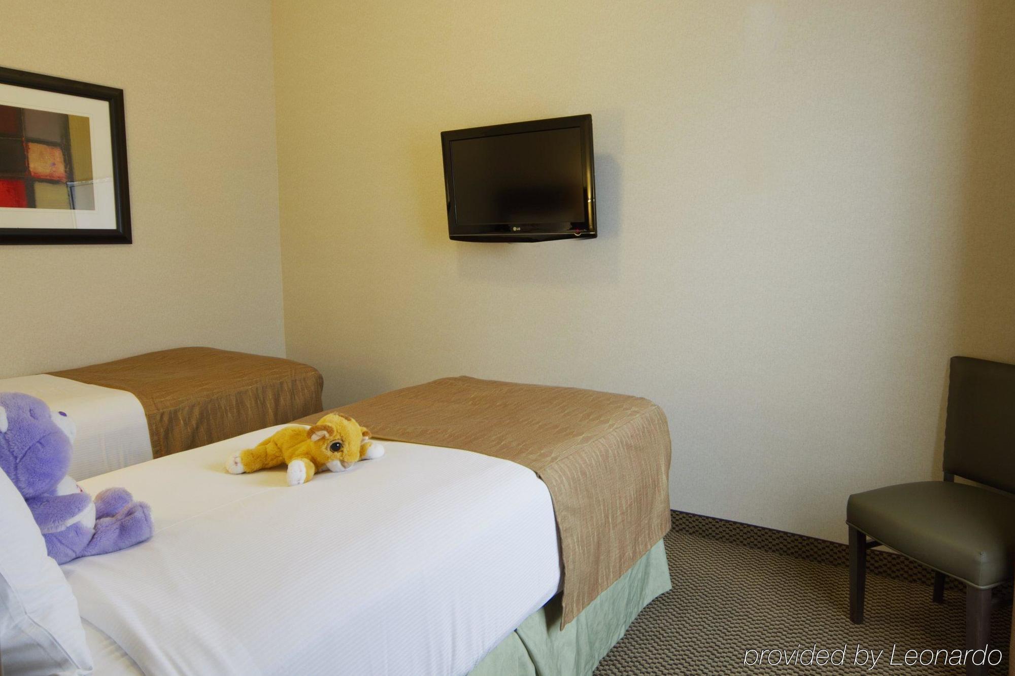 Best Western Wainwright Inn & Suites Chambre photo